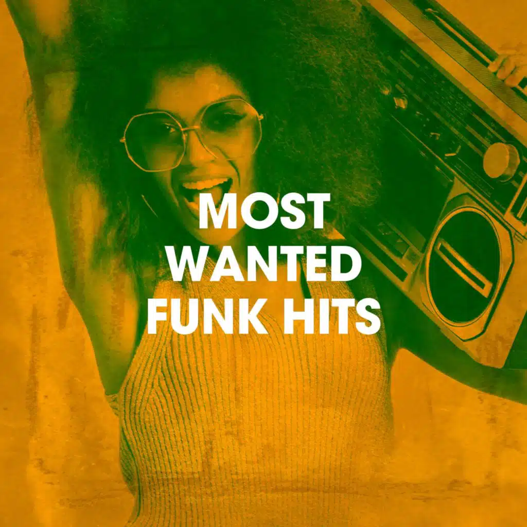 Most Wanted Funk Hits