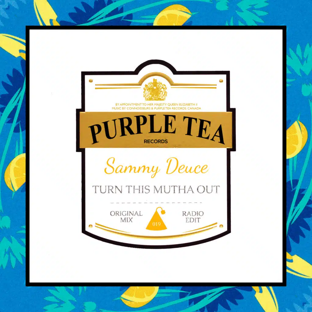 Turn This Mutha Out (Radio Edit)