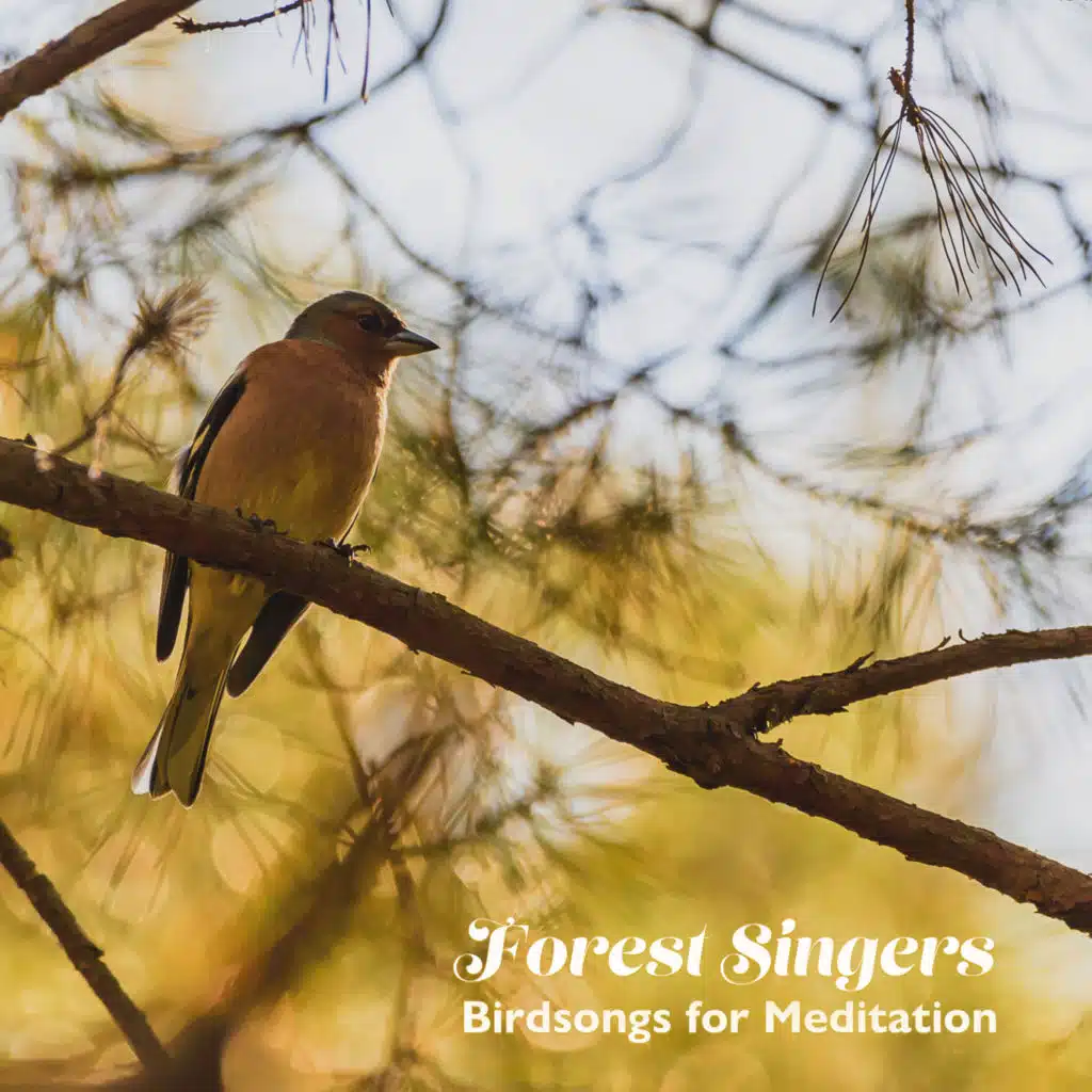 Nature Voices Collection