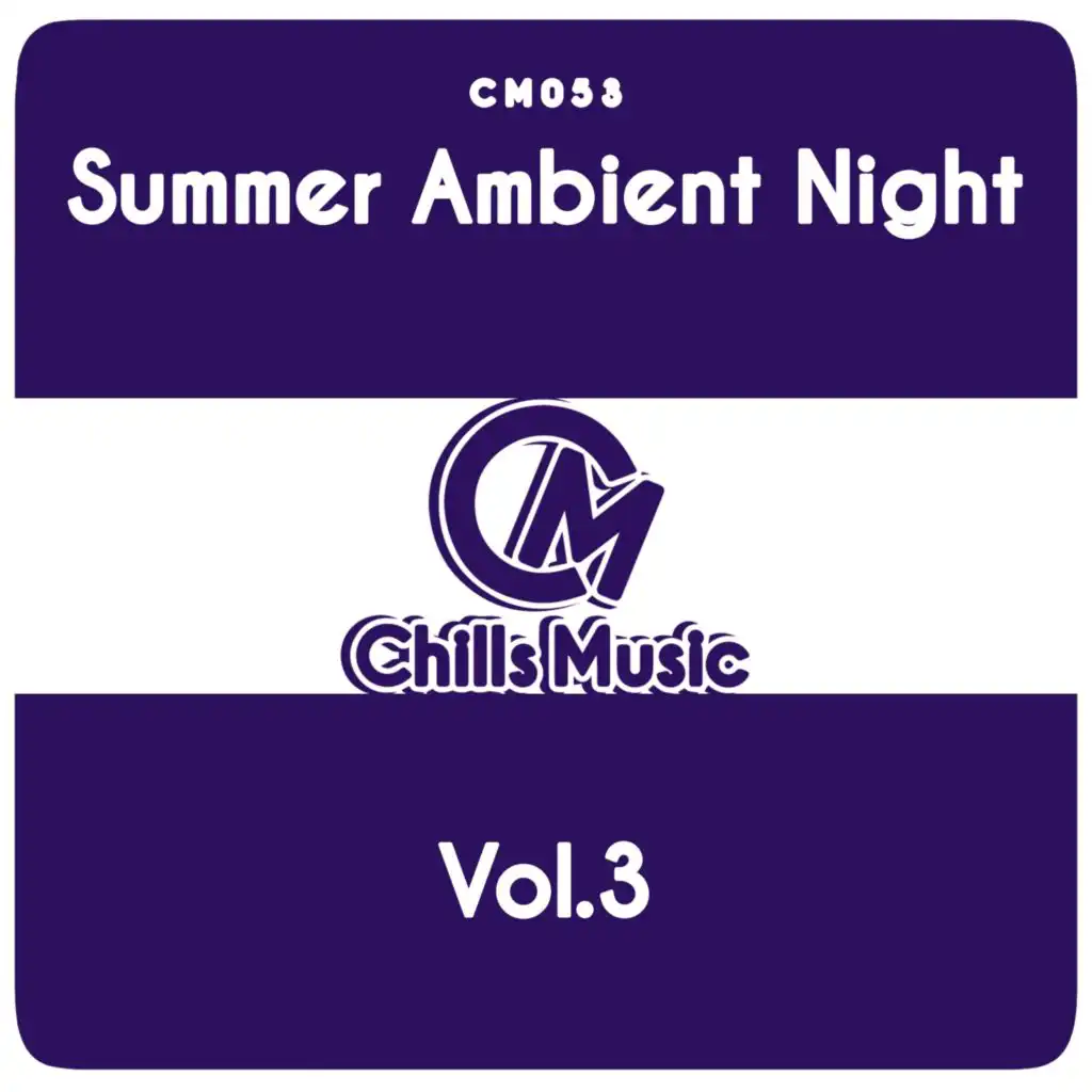 Summer Ambient Night, Vol. 3