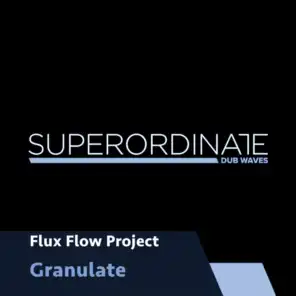 Flux Flow Project