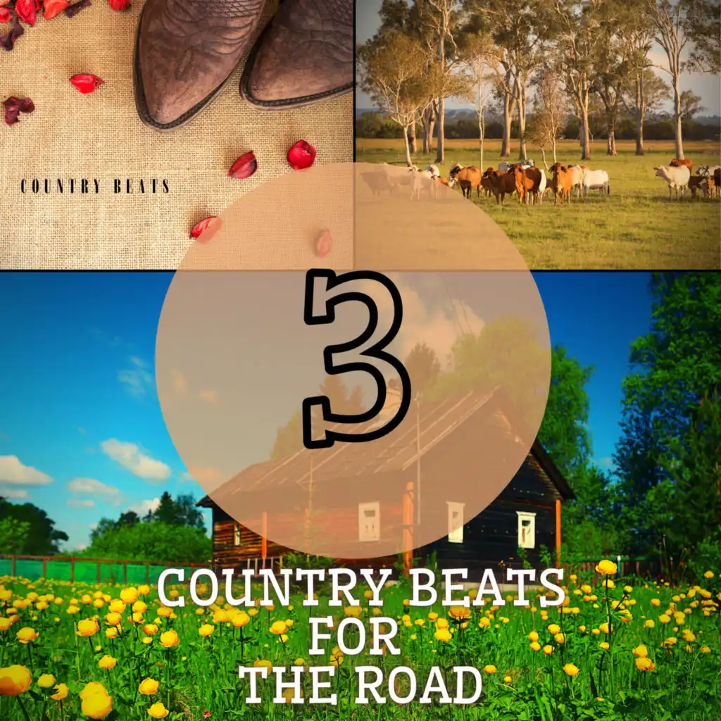 Every Little Thing (Country with Beats)