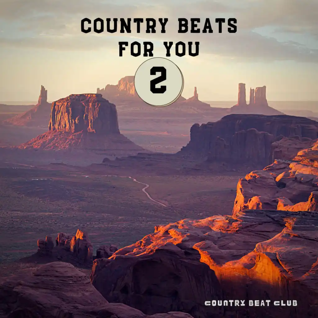 Country Beats for You 2