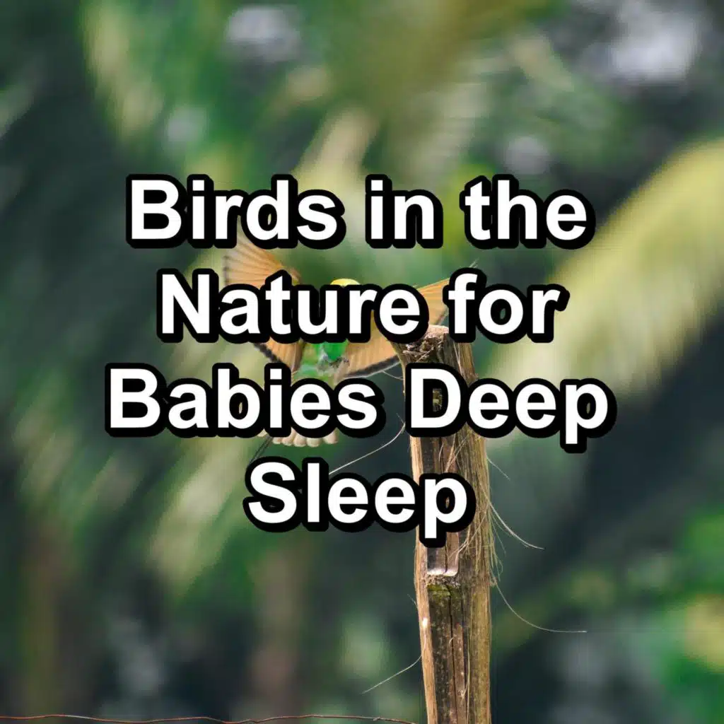 Tropical Birds Cozy Day and Night To Help Your Baby Relax