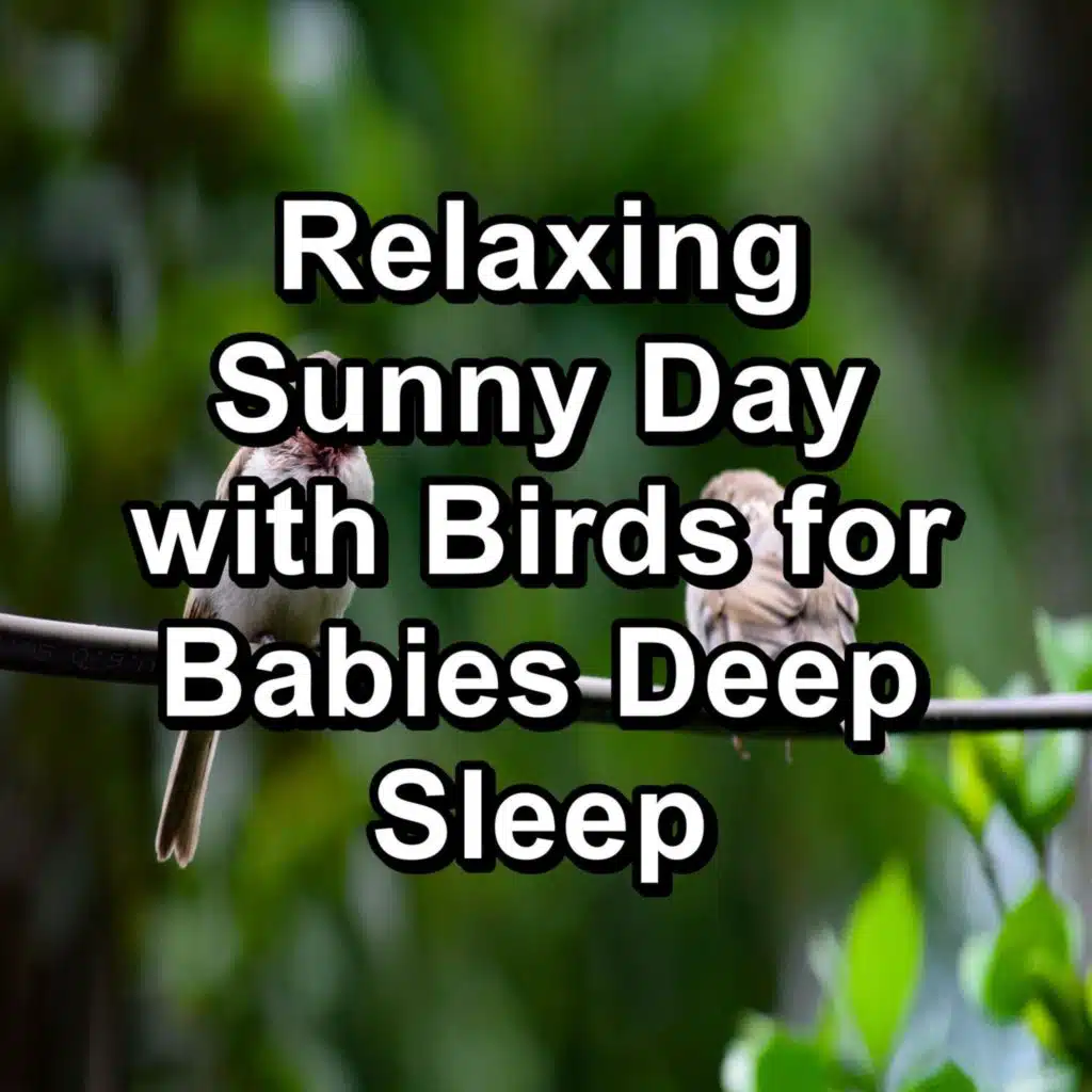 Relaxing Sunny Day with Birds for Babies Deep Sleep