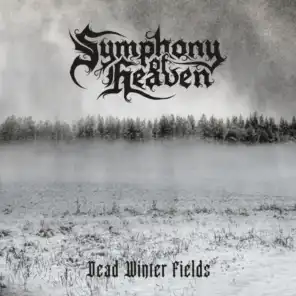 Dead Winter Fields