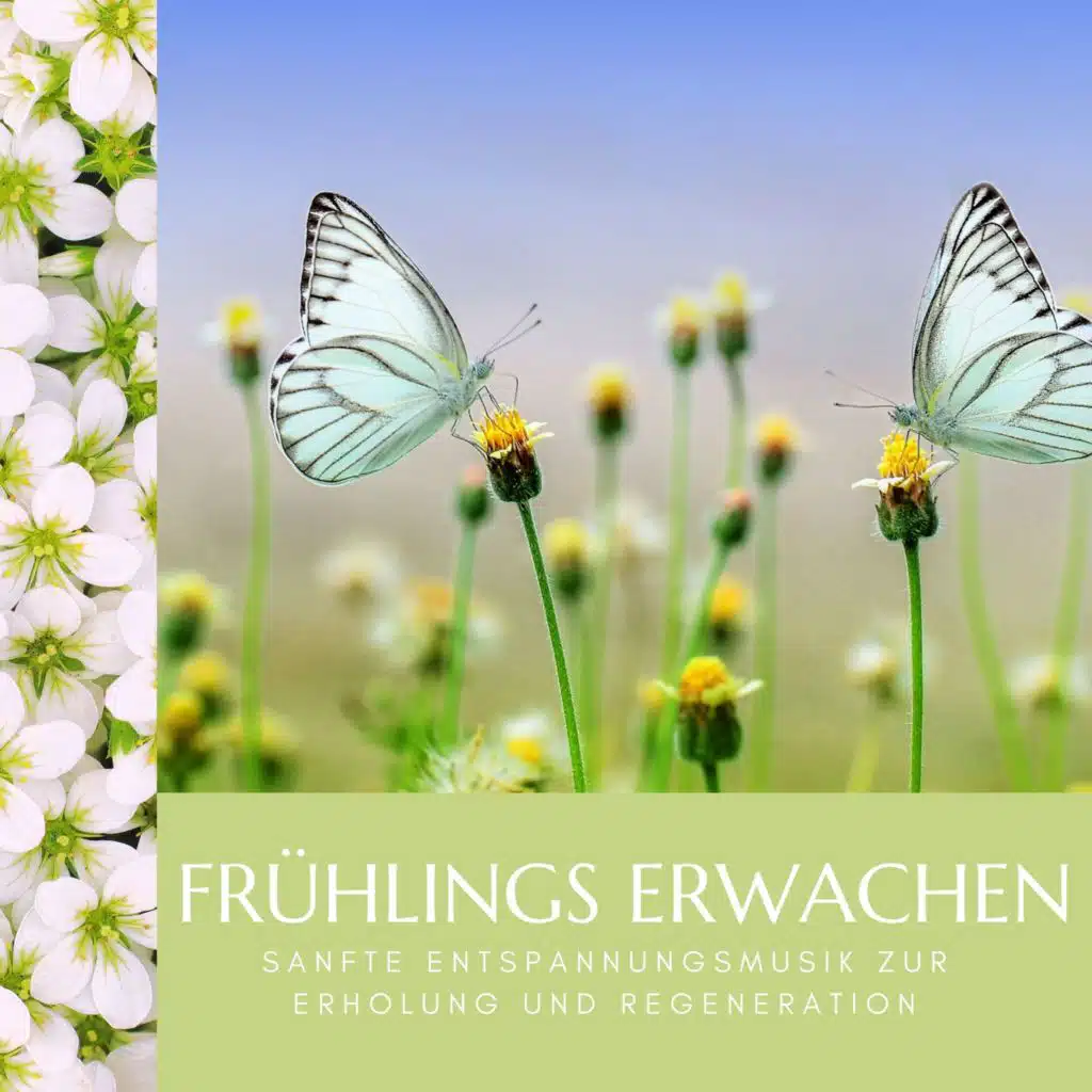 Frühlings erwachen - Sanfte Entspannungsmusik zur Erholung und Regeneration