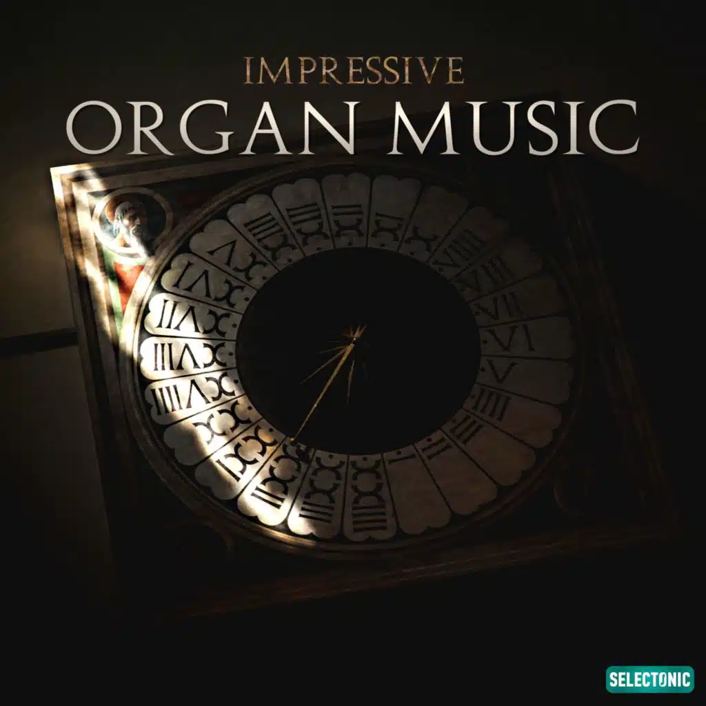 Impressive Organ Music, Vol. 6 (Organum Solo)