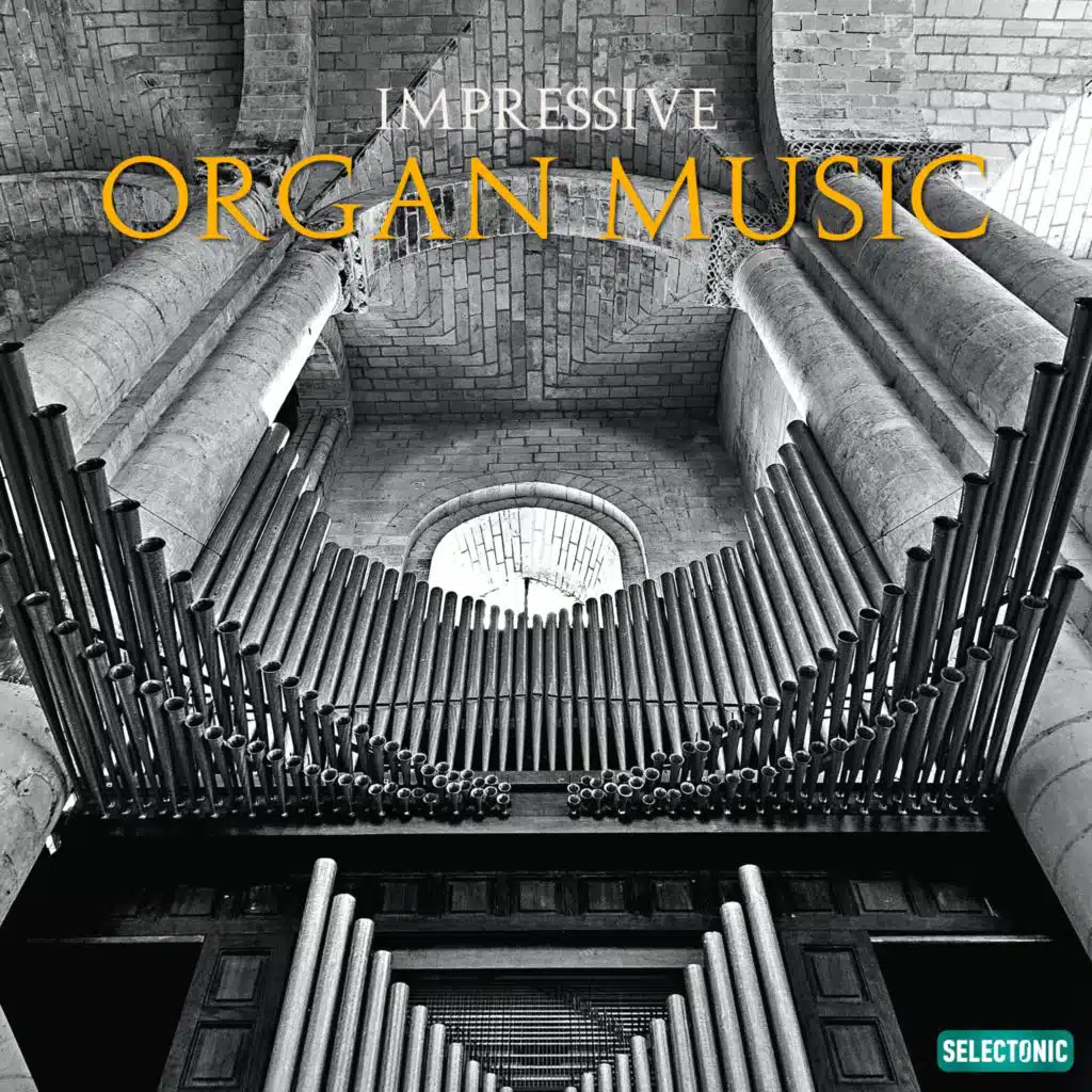 Tristis Imago (Organum Solo)