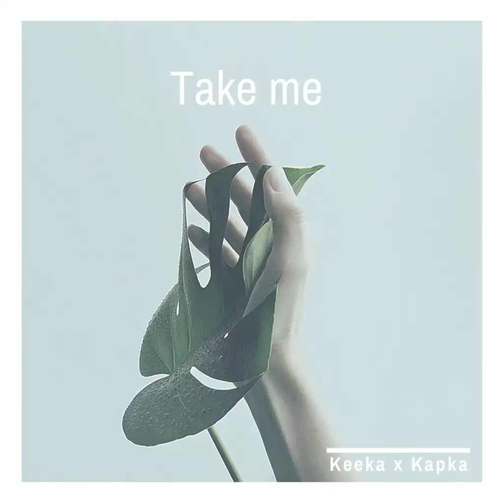 Take me (Kapka remix)