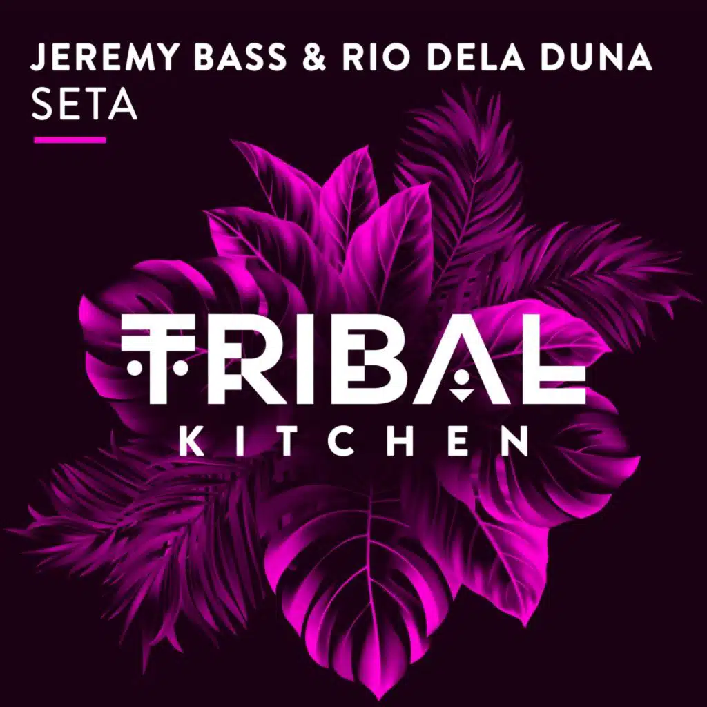 Seta (Original Radio Edit)