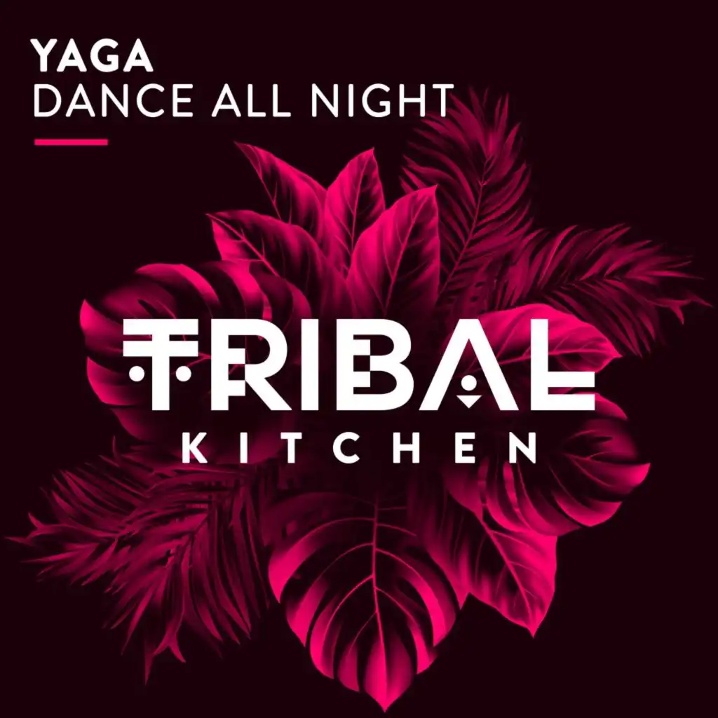 Dance All Night (Radio Edit)