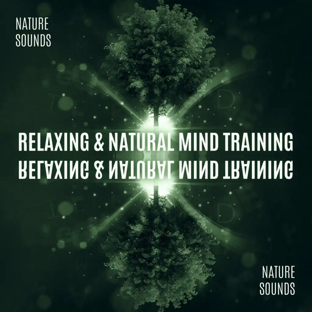 Relaxing & Natural Mind Training (Nature Sounds to Unwind & Broaden Perception, Improve Concentration, Self-Awareness)