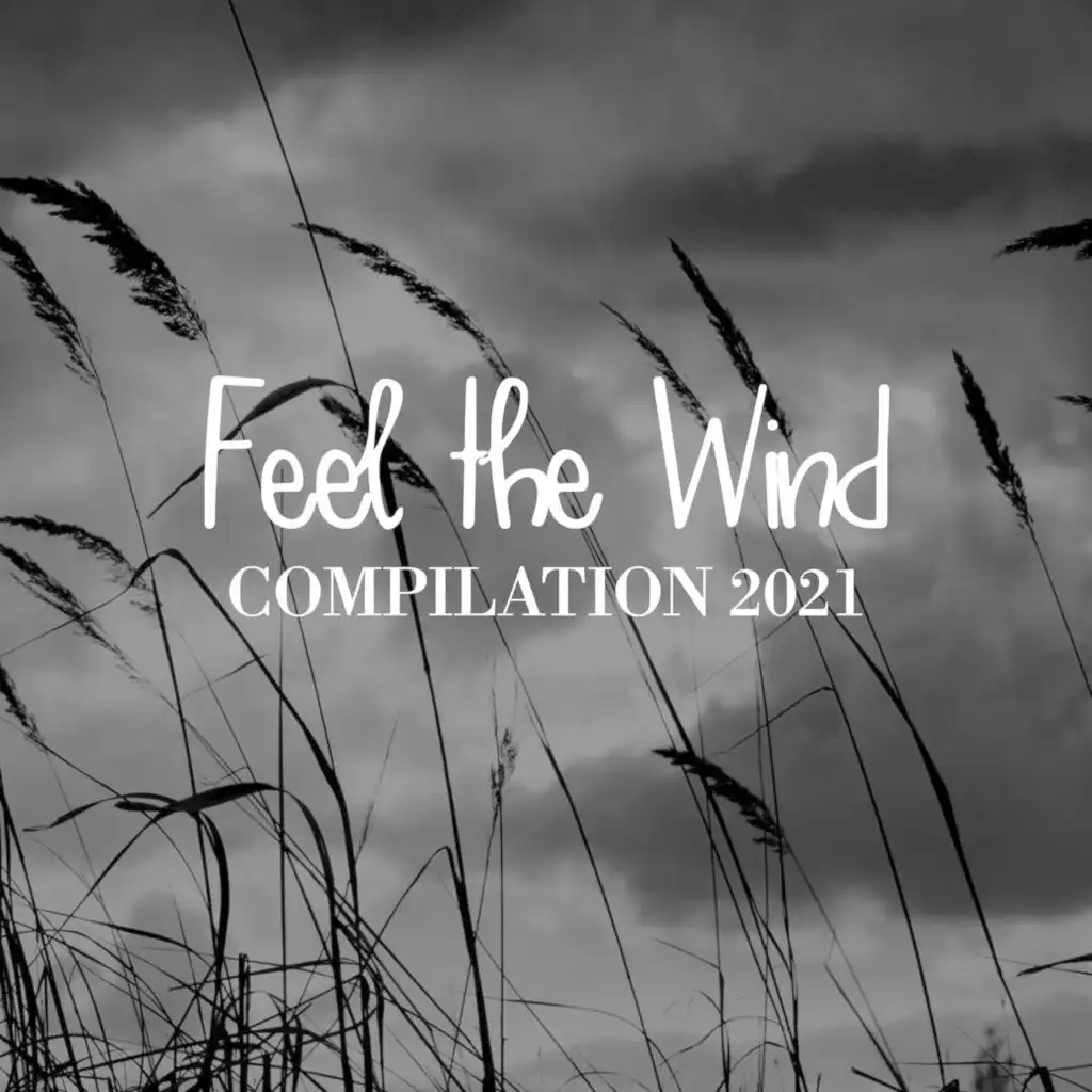 FEEL THE WIND COMPILATION 2021