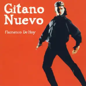 Gitano Nuevo, Flamenco de Hoy