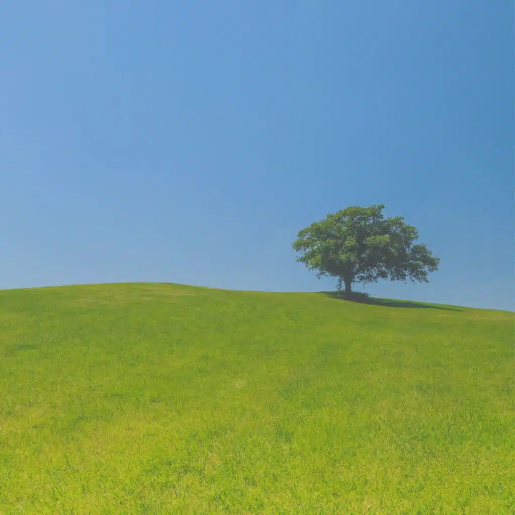 صدى صوت (نائم)