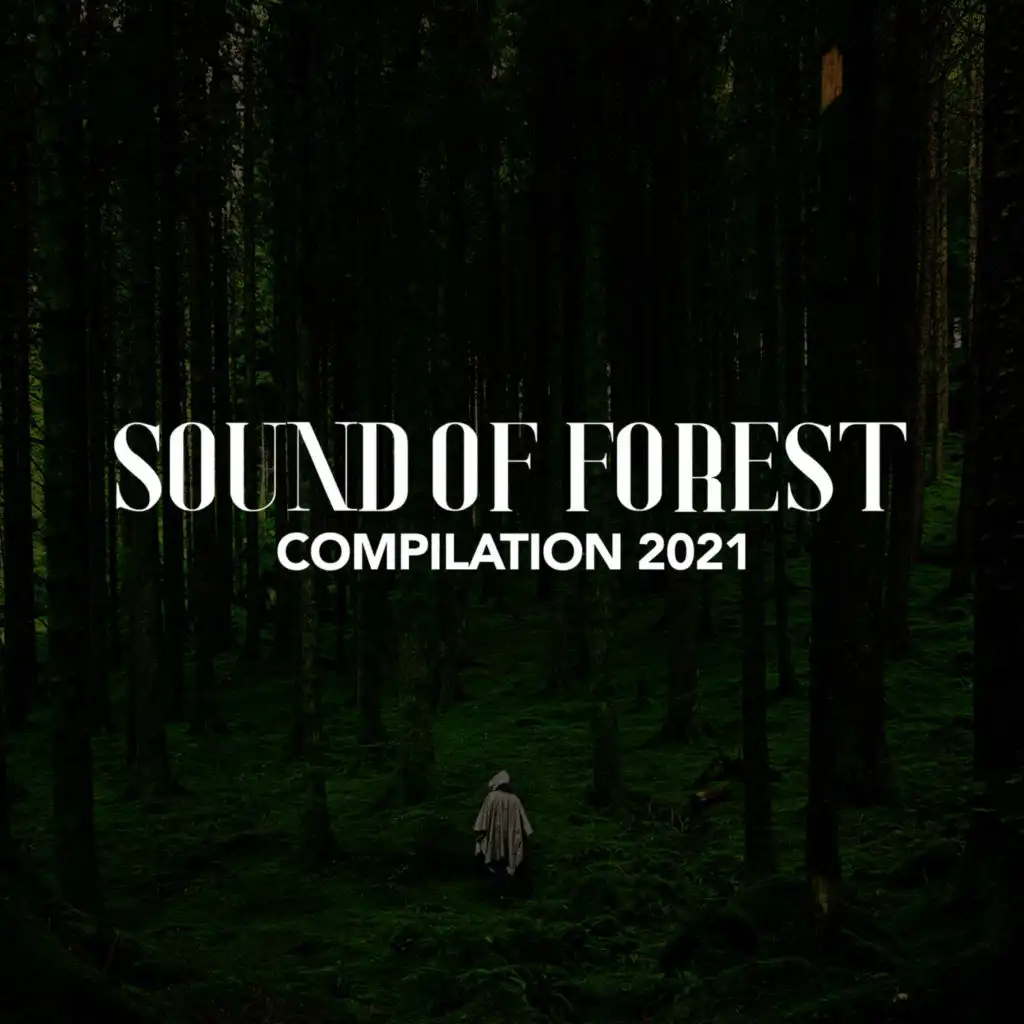 SOUND OF FOREST COMPILATION 2021