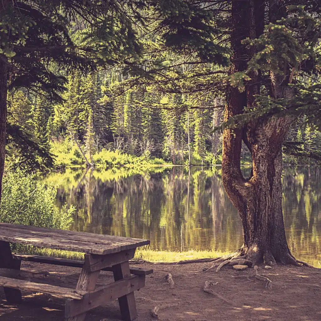 ذاكرة (نائم)