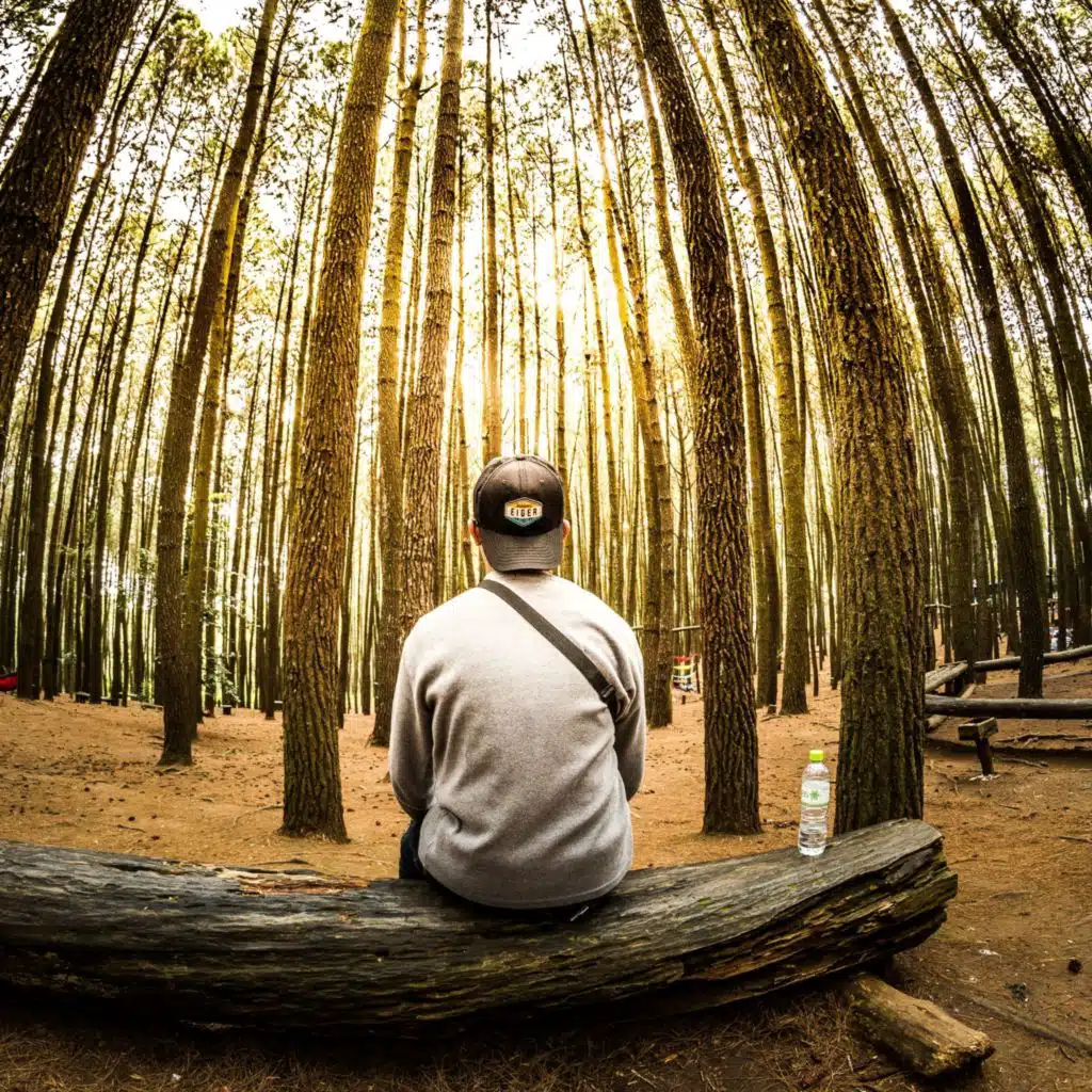 أحلام (الاسترخاء)