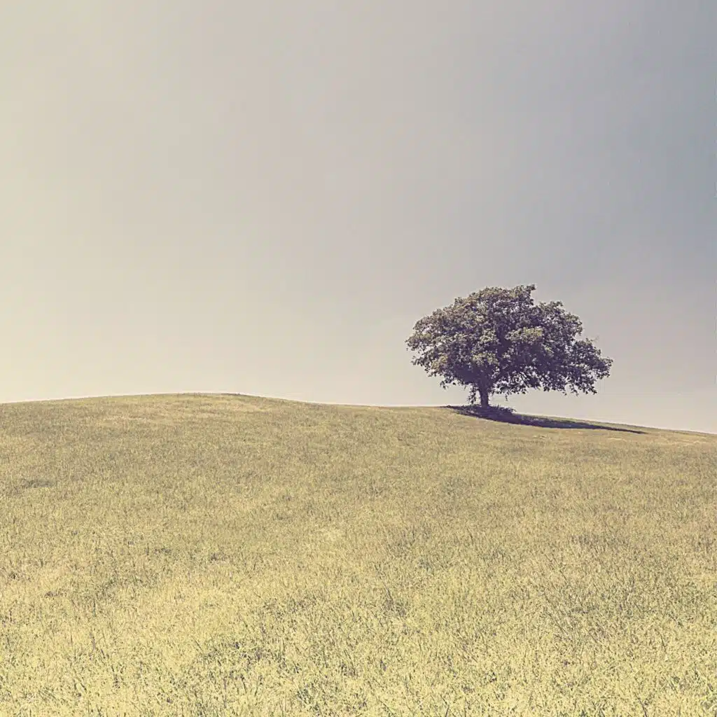 موسيقى (اصوات)