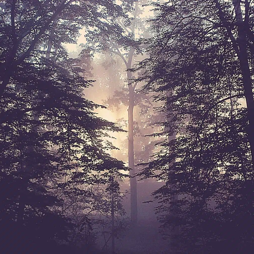 ذكريات (نايم)