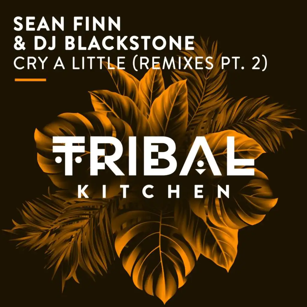 Cry a Little (DJ Blackstone Remix)