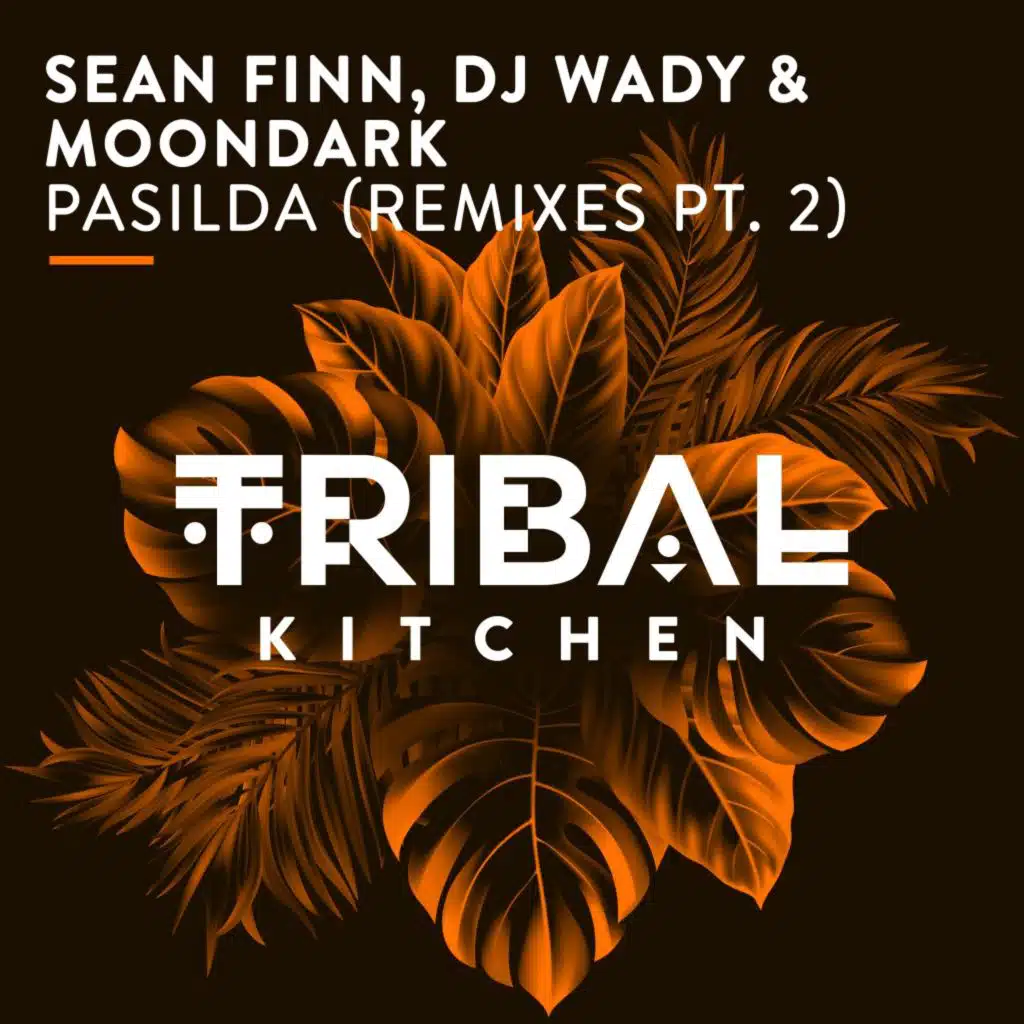Sean Finn, DJ Wady & Moondark