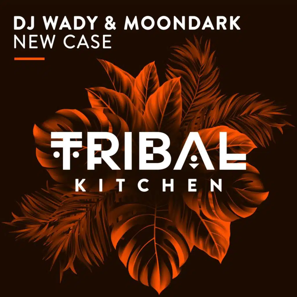 New Case (Radio Edit)