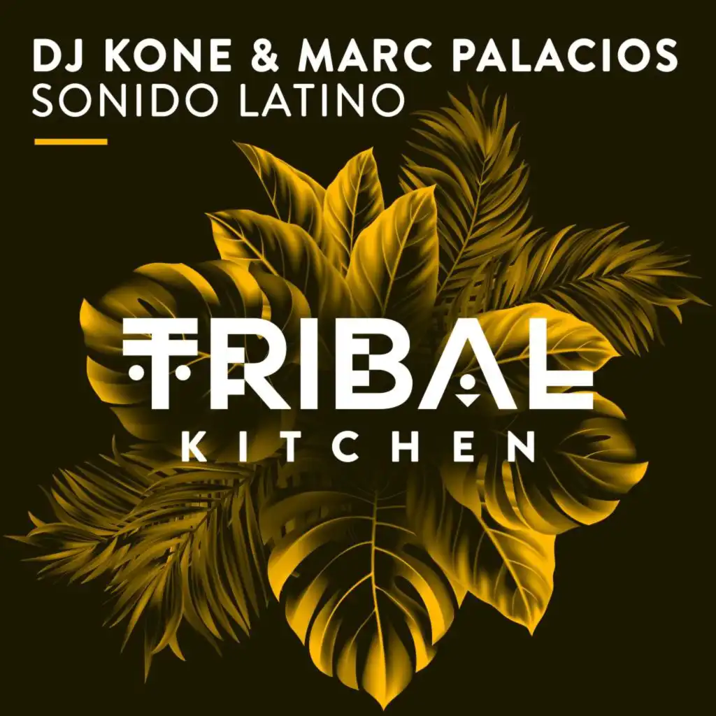 Sonido Latino (Radio Edit)