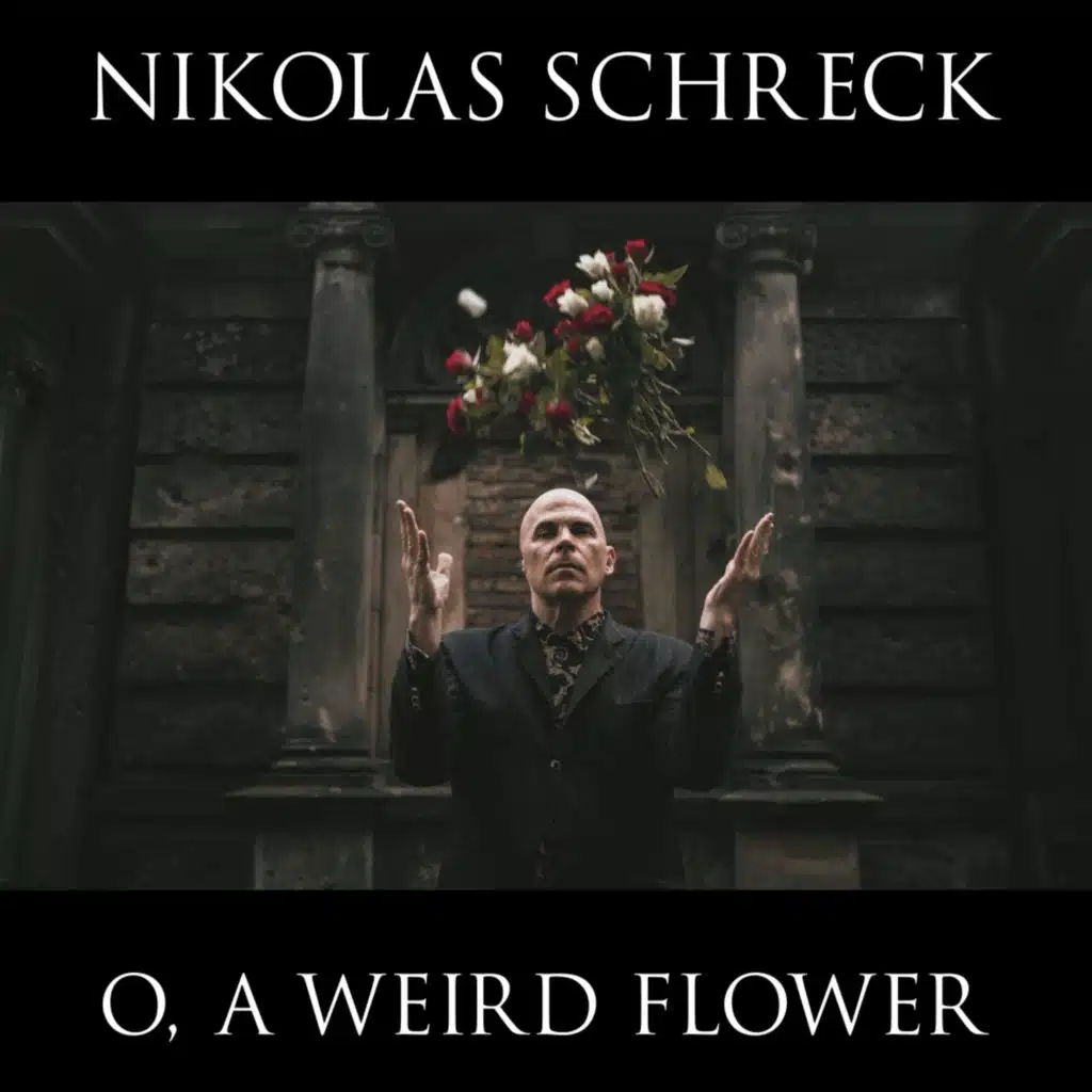 Nikolas Schreck