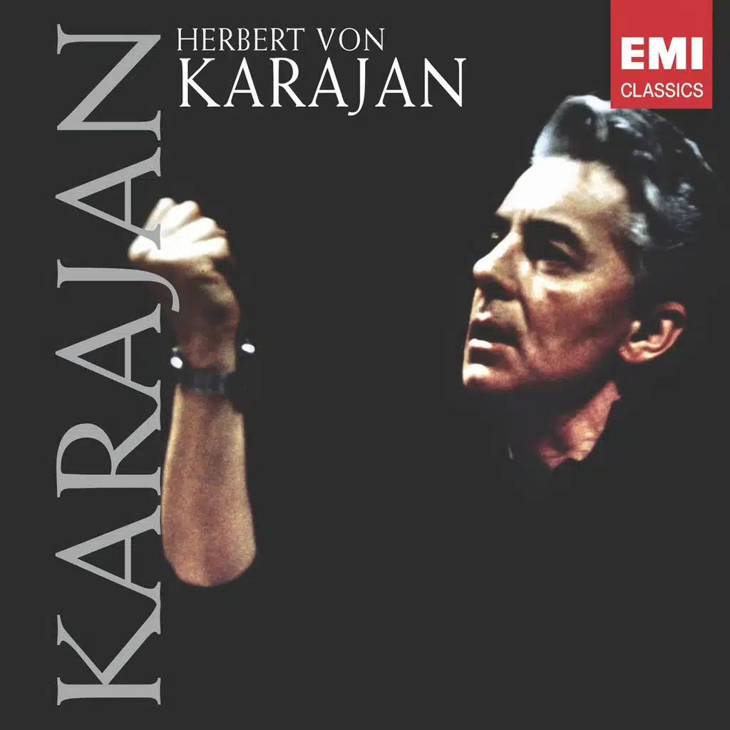 Symphony No. 40 in G Minor, K.550: I. Molto allegro