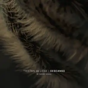 Tristan de Liege & 9 Theory