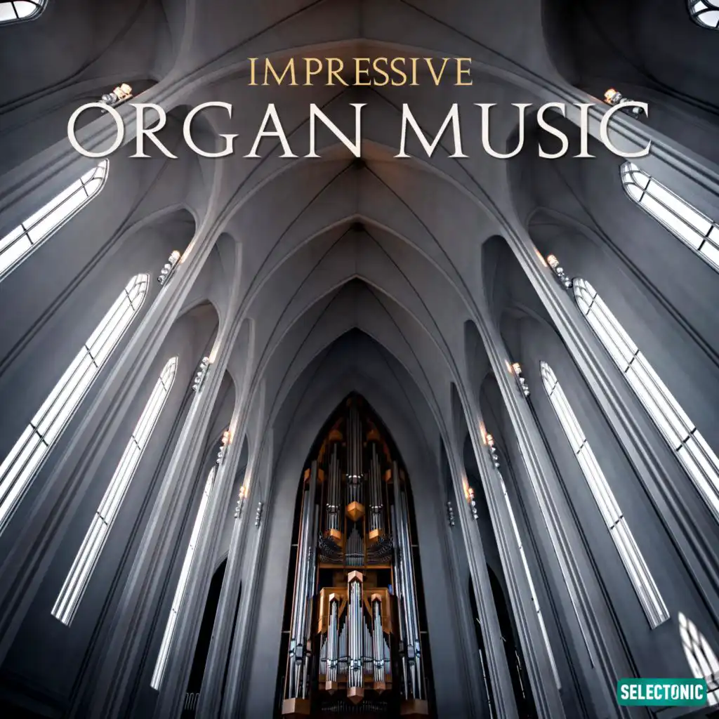 Impressive Organ Music, Vol. 2 (Organum Solo)