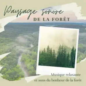 Paysage sonore de la forêt - Musique relaxante et sons du bonheur de la forêt
