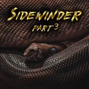 Sidewinder part 3