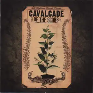 Cavalcade Of The Scars