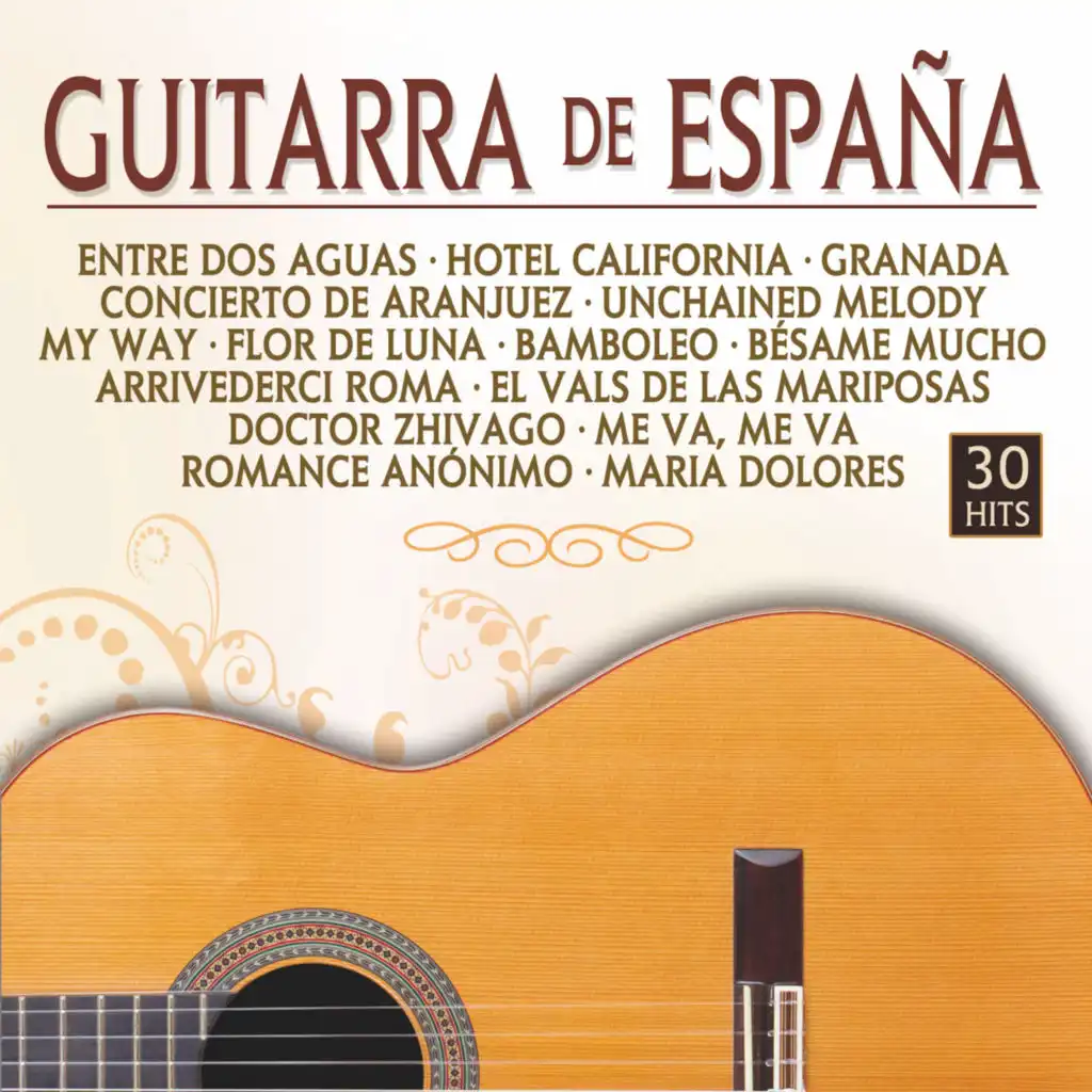 Entre Dos Aguas (Guitar Version)