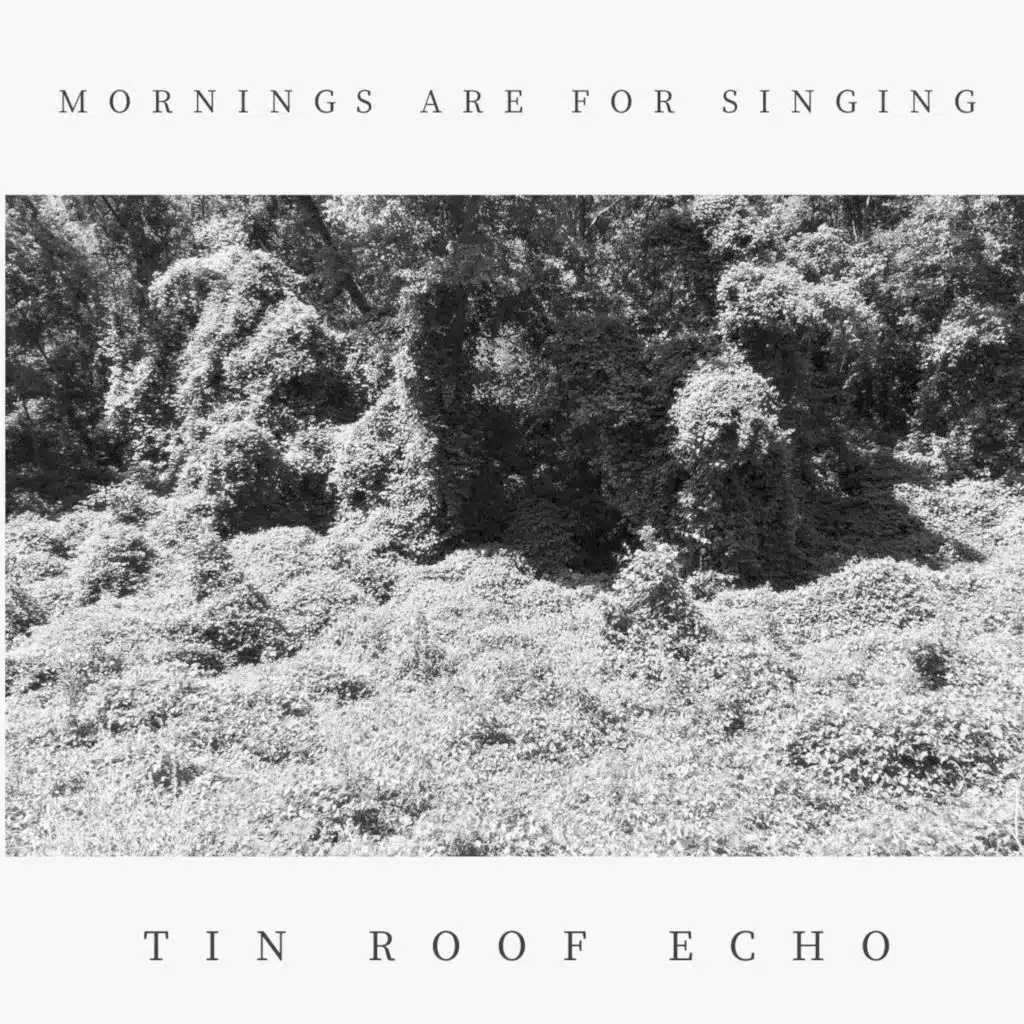 Mornings Are for Singing (Live)