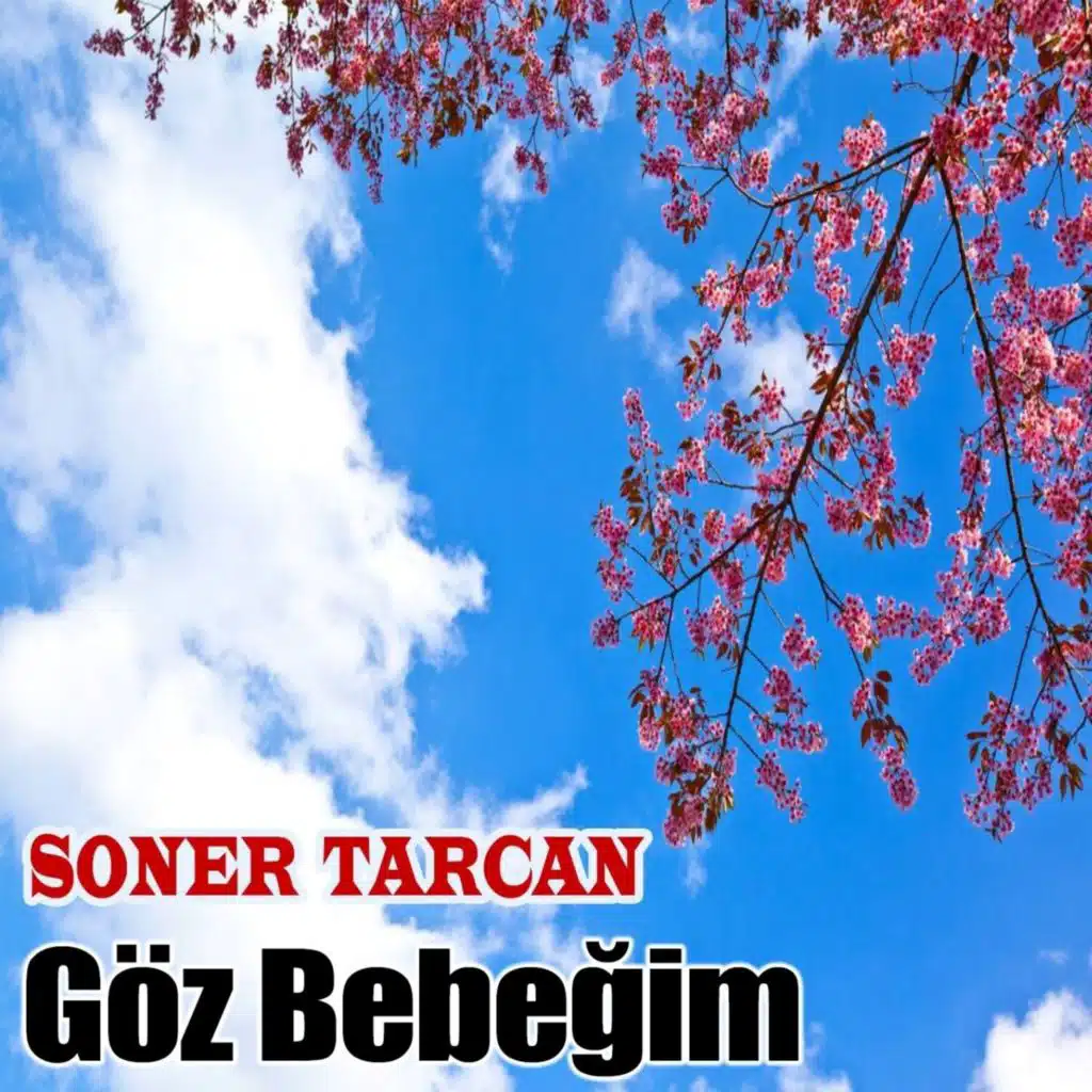 Soner Tarcan