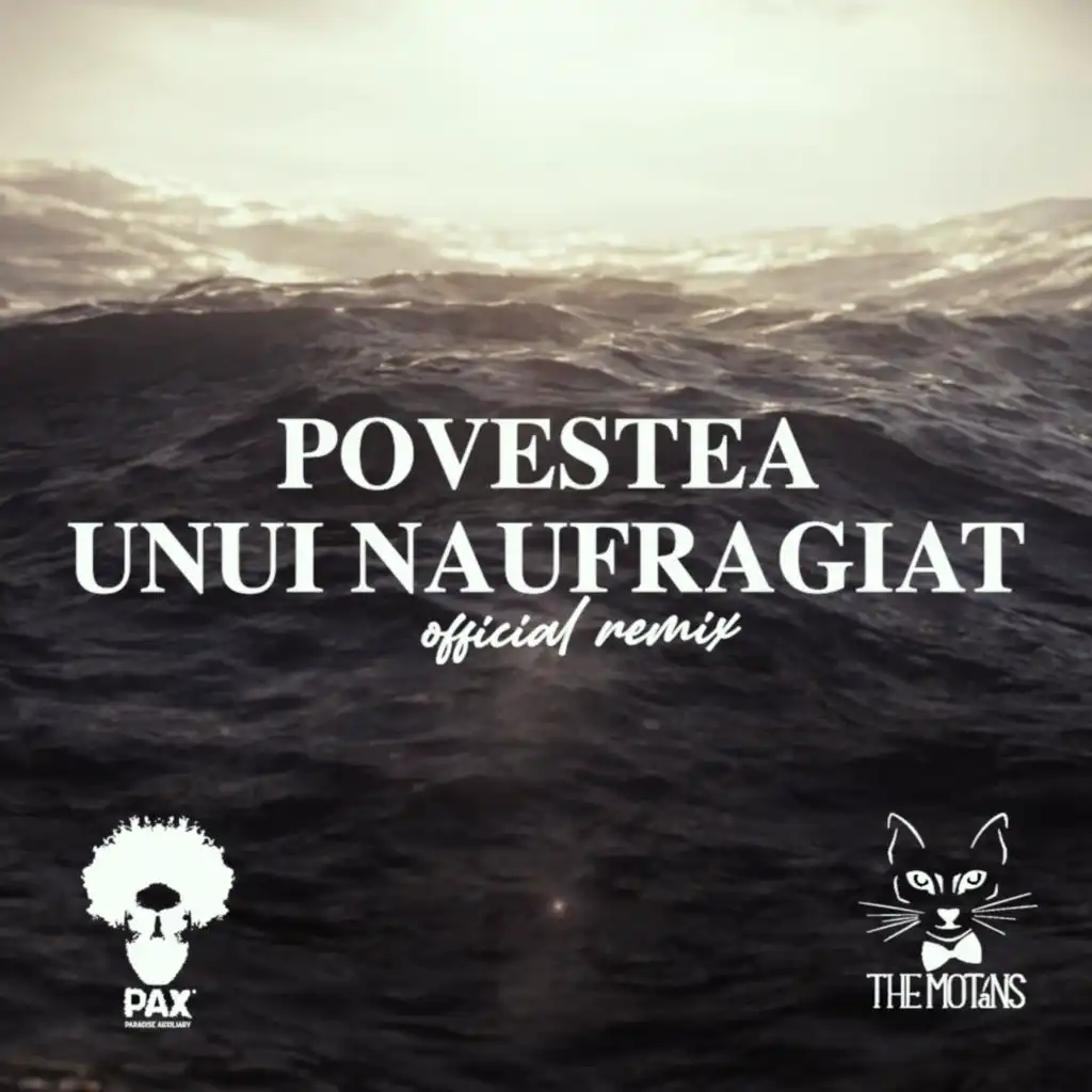 Povestea Unui Naufragiat (Official Remix)