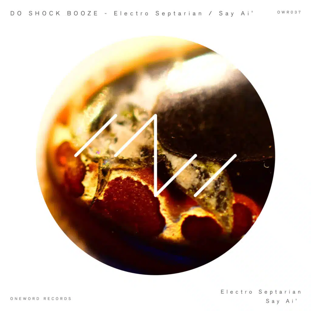 Electro Septarian / Say Ai'