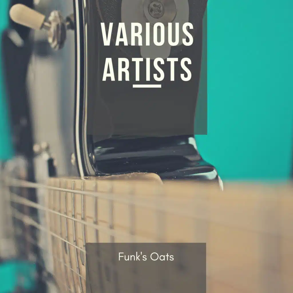 Ella Fitzgerald, The Buddy Bergman Orchestra