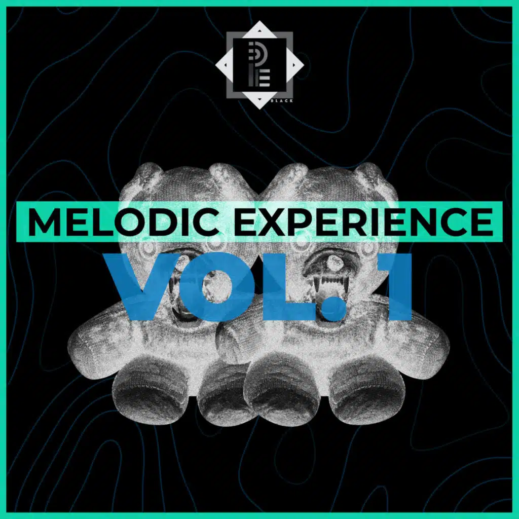 Melodic Experience (Re-Master 2021)