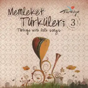 Memleket Türküleri, Vol. 3 (Türkiye with Folk Songs)