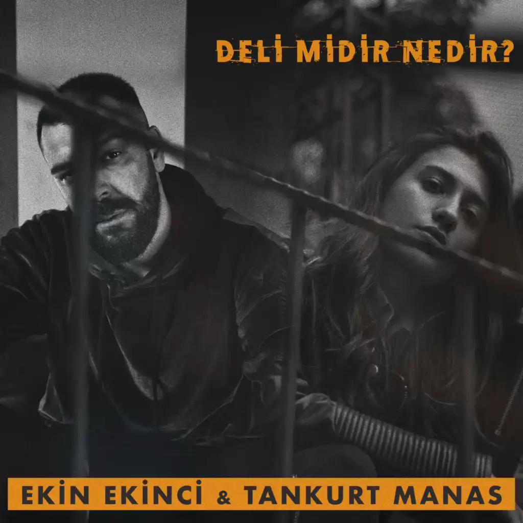 Deli midir Nedir?