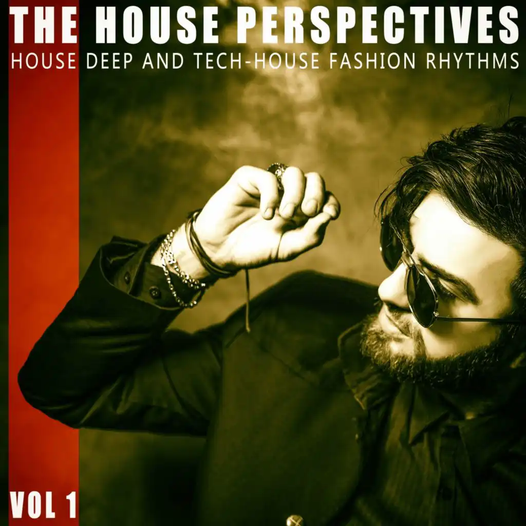 The House Perspectives - Vol.1