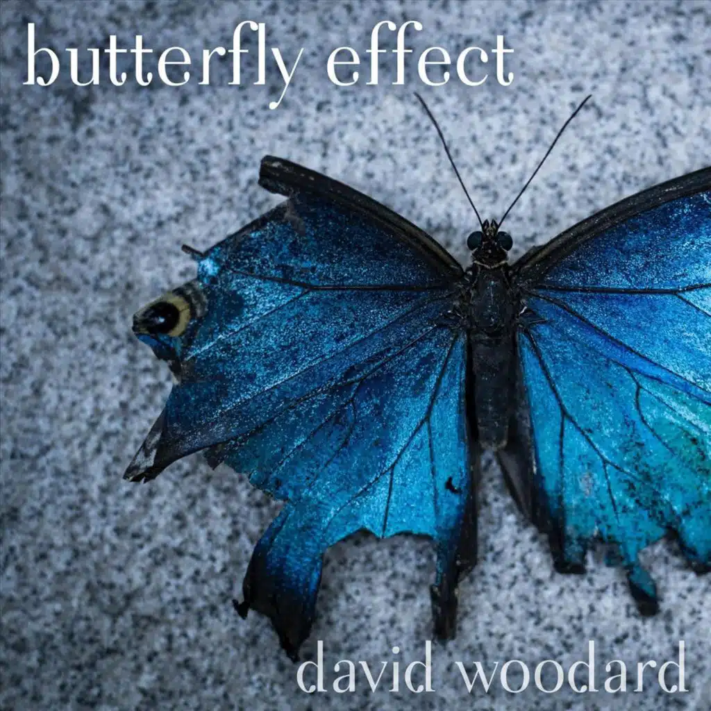 Butterfly Effect