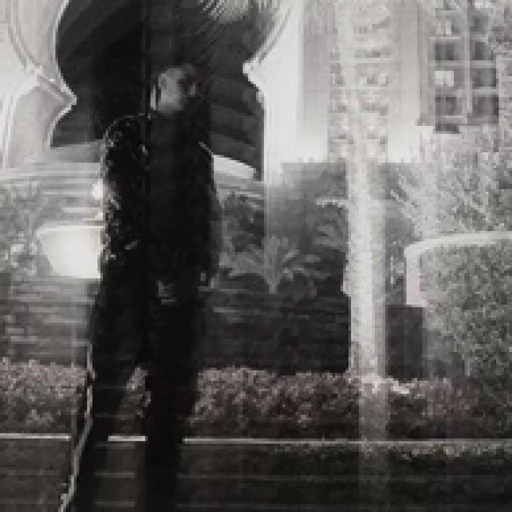 سليم الزعيم