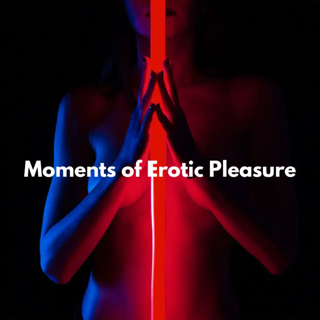 Moments of Erotic Pleasure (Sexy Chill Out Music)