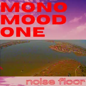 Noise Floor